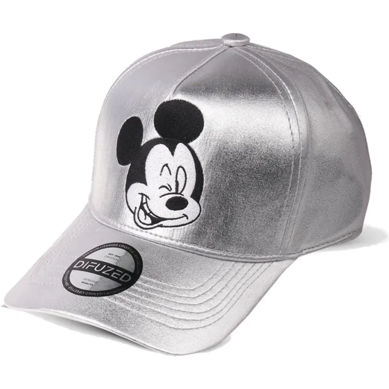 cappelli-curva-grigio-snapback-di-difuzed