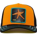 gorra-trucker-arancione-e-nera-stella-marina-baby-i-m-a-star-the-farm-di-goorin-bros