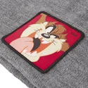 cappelli-grigio-diablo-diavolo-della-tasmania-looney-tunes-di-capslab