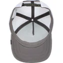 cappelli-curva-blu-snapback-the-farm-di-goorin-bros