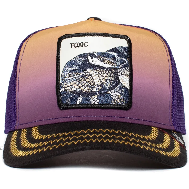 cappelli-curva-viola-snapback-the-farm-di-goorin-bros