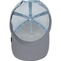 cappelli-curva-grigio-snapback-the-farm-di-goorin-bros