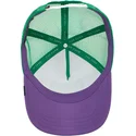 cappelli-curva-multicolore-snapback-the-farm-di-goorin-bros