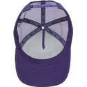 cappelli-curva-viola-snapback-the-farm-di-goorin-bros