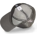 cappelli-curva-grigio-snapback-tom-looney-tunes-di-capslab