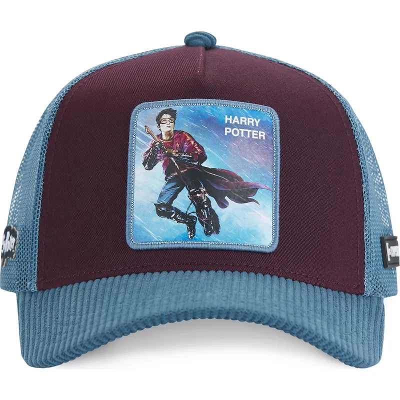 cappelli-curva-multicolore-snapback-harry-potter-harry-potter-di-capslab