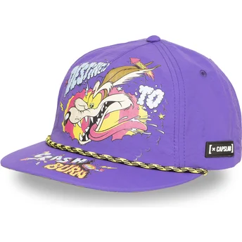 Cappello piatto viola snapback Coyote LOO13 DTCB Looney Tunes di Capslab
