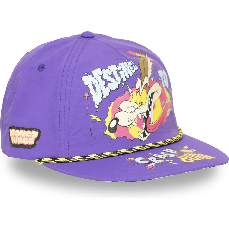 cappello-piatto-viola-snapback-coyote-loo13-dtcb-looney-tunes-di-capslab