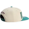 cappello-piatto-verde-e-beige-snapback-across-the-board-di-anaheim-ducks-nhl-di-mitchell-ness