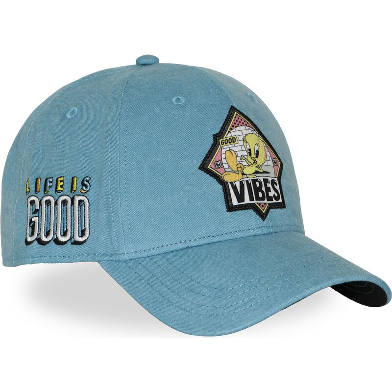 cappellino-curvo-blu-snapback-titti-loo13-pcblifb-looney-tunes-di-capslab