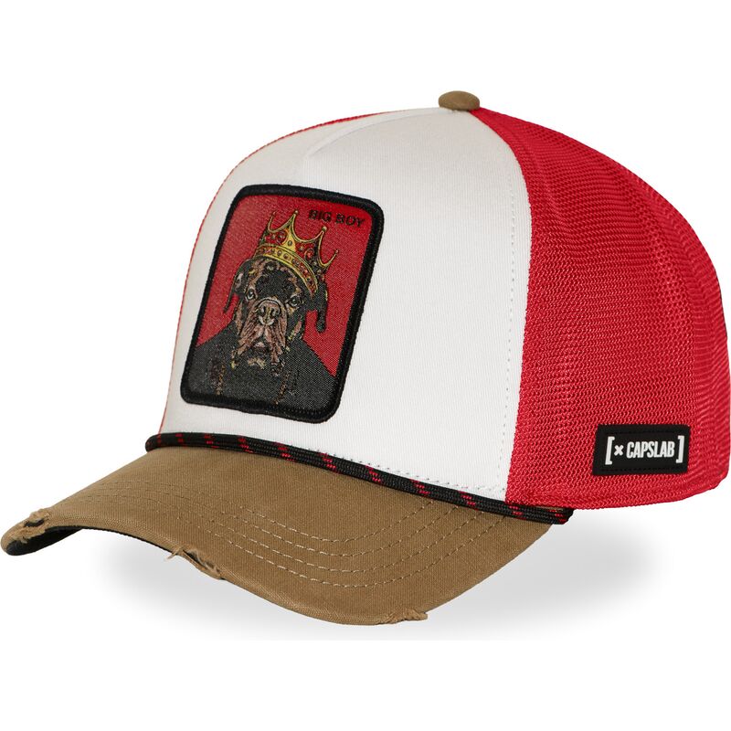 cappellino-trucker-multicolore-big-boy-hip-bigb-hip-hop-dogz-di-capslab