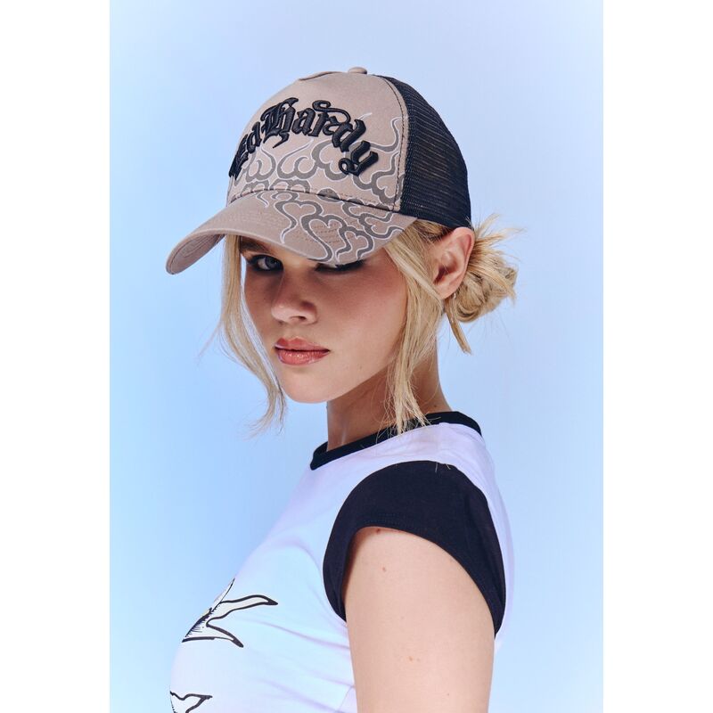 cappello-curvo-grigio-snapback-flaming-di-ed-hardy