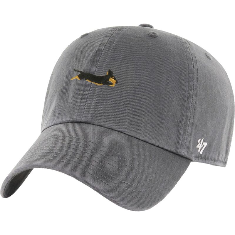cappello-curvo-grigio-cinghia-regolabile-clean-up-base-runner-icon-dog-di-47-brand