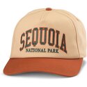 cappello-curvo-marrone-snapback-roscoe-dei-sequoia-national-park-di-american-needle