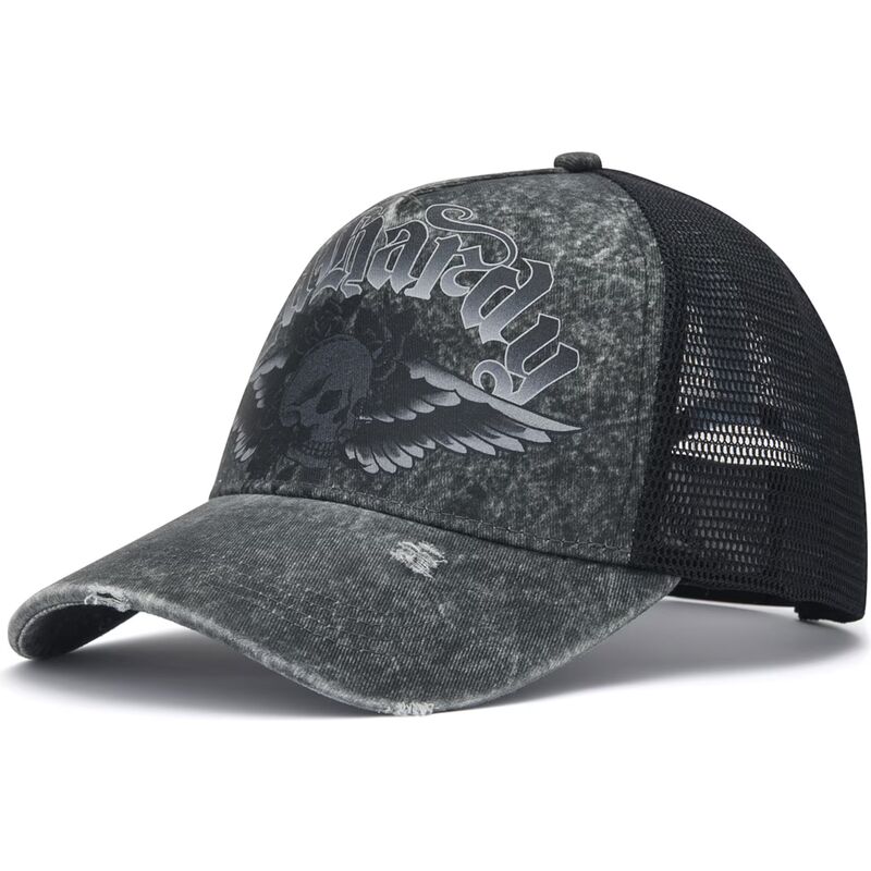 cappello-curvo-grigio-snapback-flaming-gothic-skull-washed-di-ed-hardy cappello-curvo-grigio-snapback-flaming-gothic-skull-washed-di-ed-hardy