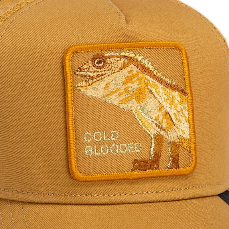 cappello-curvo-marrone-snapback-circle-of-life-cold-blooded-tone-shift-the-farm-goorin-bros