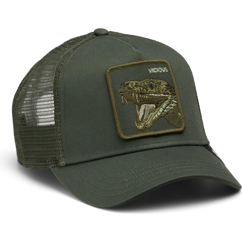 cappello-curvo-verde-snapback-circle-of-life-vicious-tone-shift-the-farm-goorin-bros
