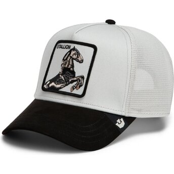 Cappello curvo grigio snapback Suede Stallion Microsuede The Farm Goorin Bros.