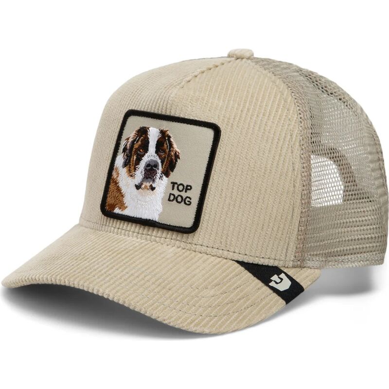 cappello-curvo-beige-snapback-corduroy-top-dog-ridgeline-the-farm-goorin-bros