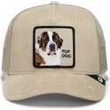 cappello-curvo-beige-snapback-corduroy-top-dog-ridgeline-the-farm-goorin-bros