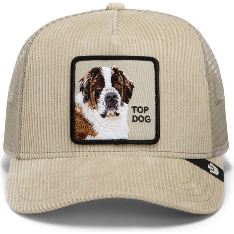 cappello-curvo-beige-snapback-corduroy-top-dog-ridgeline-the-farm-goorin-bros
