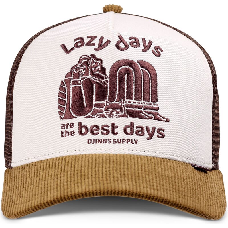 cappello-curvo-marrone-snapback-hft-lazy-days-di-djinns