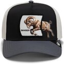 cappello-curvo-multicolore-snapback-banger-migration-the-farm-goorin-bros